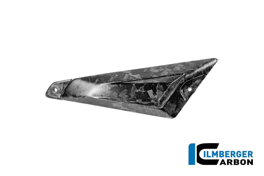 CACHE TRIANGLE ARRIÈRE DE BOUCLE DROIT CARBONE BMW R1300GSA