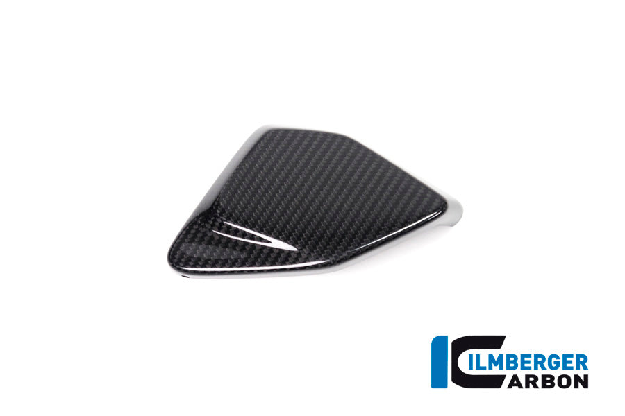 CACHE BOÎTIER ESA CARBONE BMW R1250GS-R1250GSA