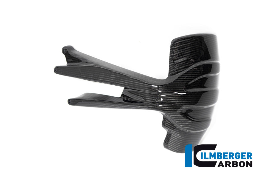 LÈCHE-ROUE ARRIÈRE CARBONE BMW R1250GS-R1250GSA
