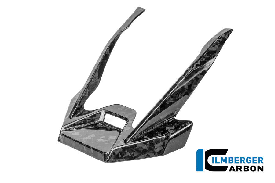 EXTENSION DE BEC AVANT CARBONE BMW R1300GSA