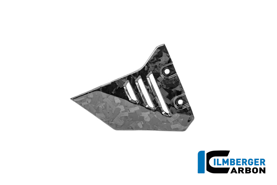CACHE TRIANGLE AVANT DE BOUCLE GAUCHE CARBONE BMW R1300GSA