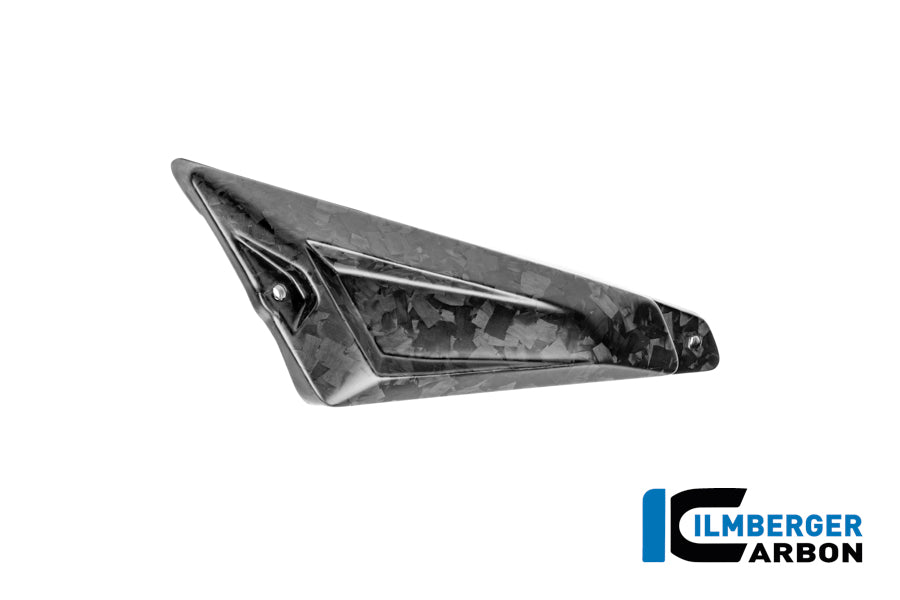 CACHE TRIANGLE ARRIÈRE DE BOUCLE GAUCHE CARBONE BMW R1300GSA
