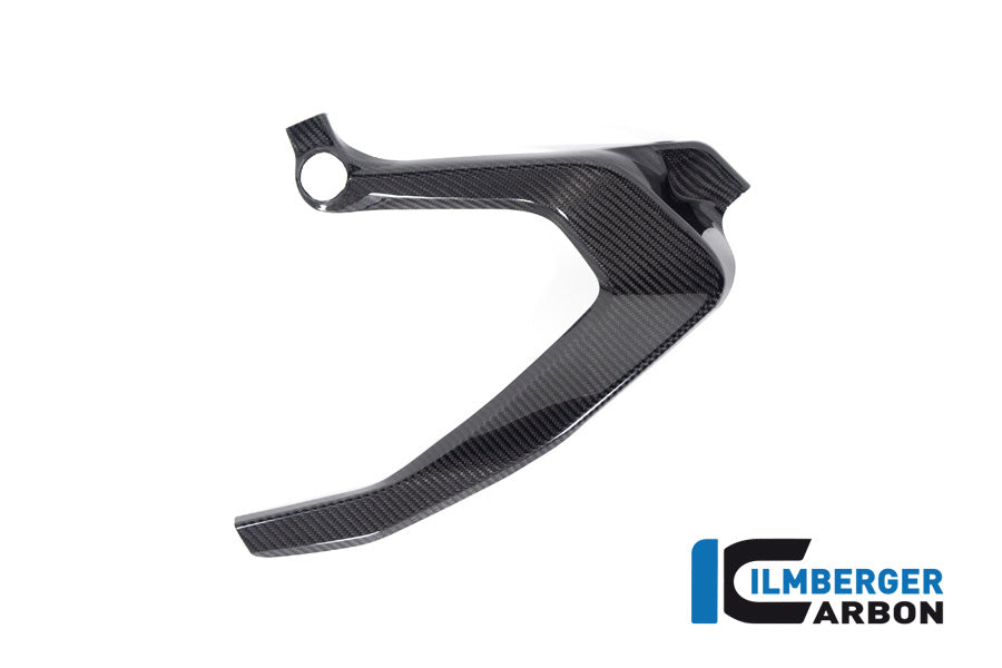 CACHE CADRE GAUCHE CARBONE BMW R1300GS-R1300GSA