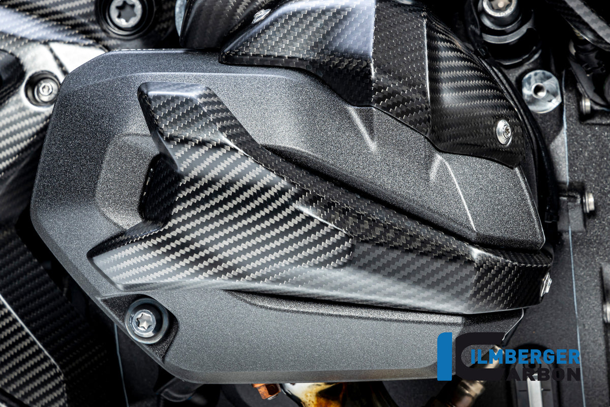 CACHE ANTIPARASITE DE BOUGIE DROIT CARBONE BMW R1300GS-R1300GSA