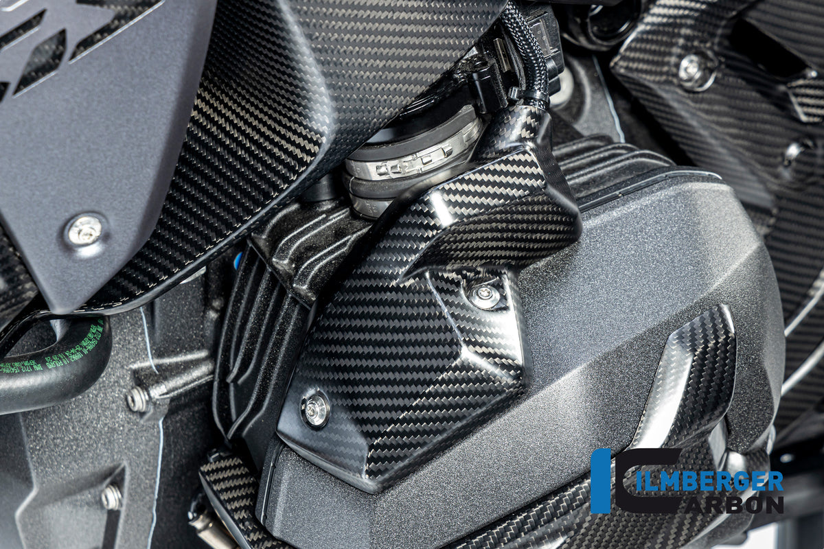 CACHE INJECTEUR GAUCHE CARBONE BMW R1300GS-R1300GSA