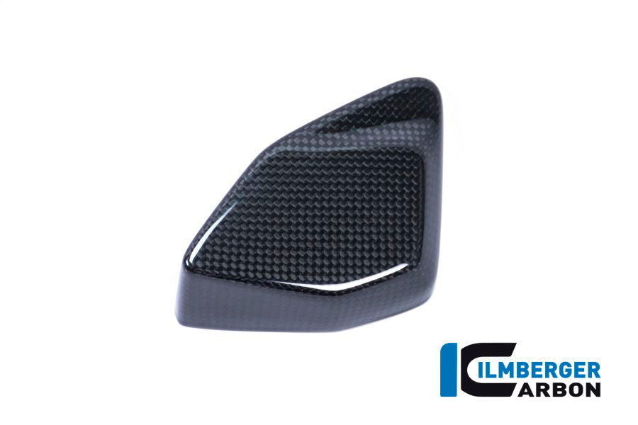 CACHE BOÎTIER ESA CARBONE BMW R1200GS LC (2017-2018)