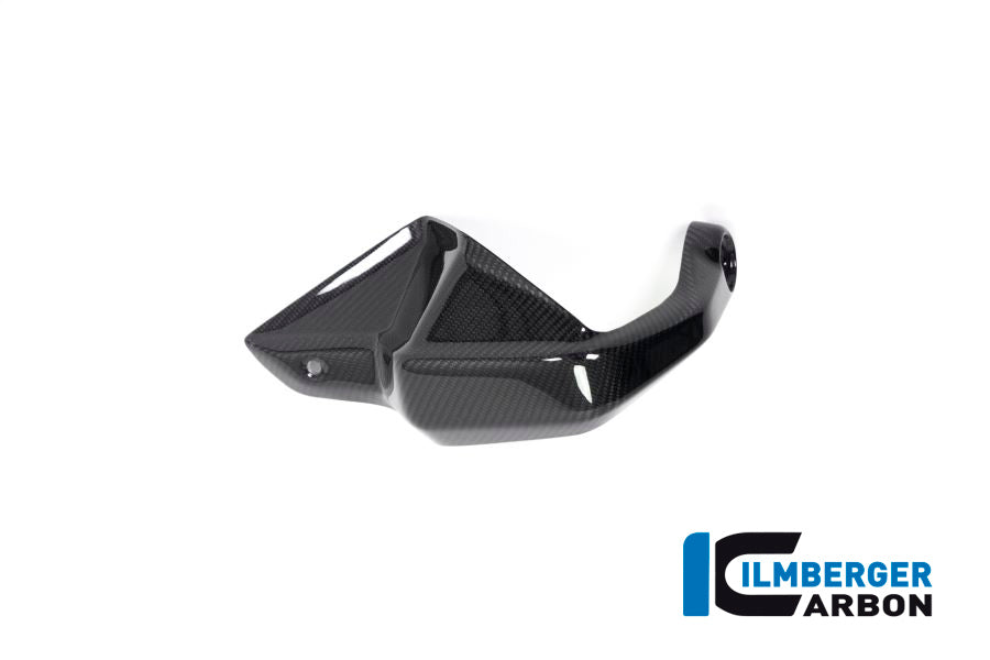 PROTÈGE-MAIN GAUCHE CARBONE BMW R1250GS-R1250GSA