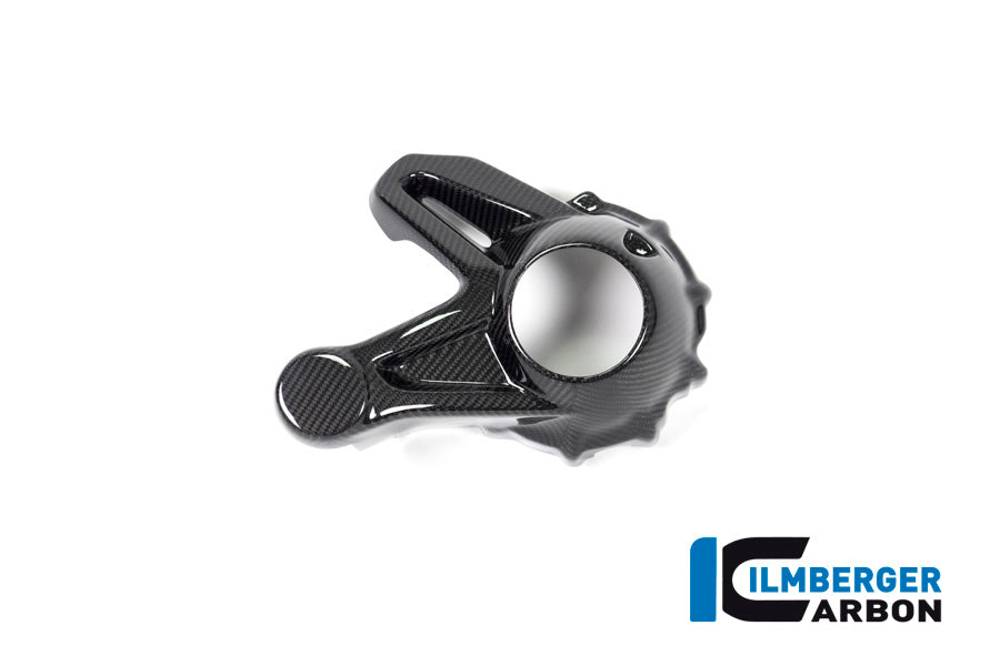 CACHE CARTER DE CARDAN (SANS LÈCHE-ROUE) CARBONE BMW R1250GS-R1250GSA