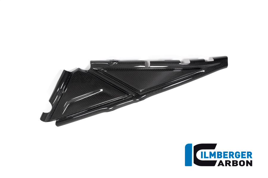 CACHE BOUCLE ARRIÈRE GAUCHE CARBONE BMW R1250GS-R1250GSA