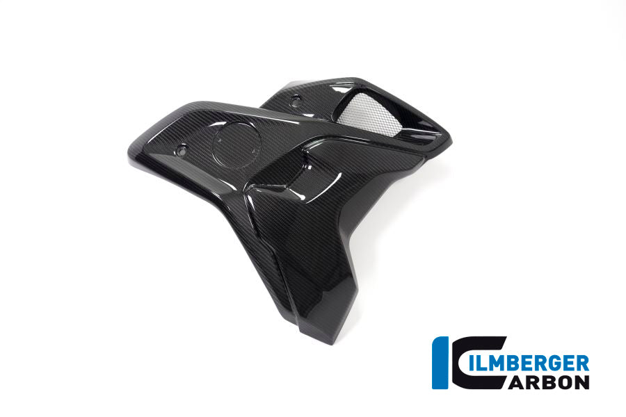 CONDUIT D'AIR DROIT AVEC FLAP (2 PIÈCES) CARBONE BMW R1250GS
