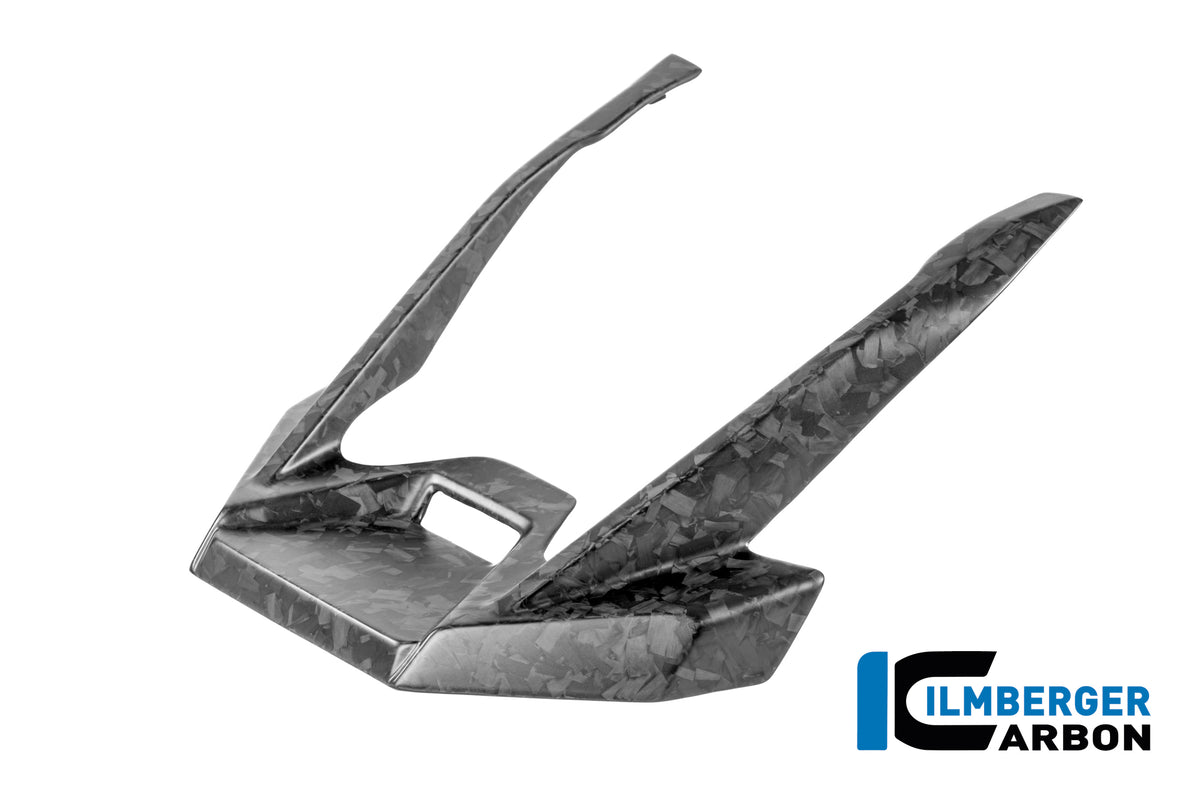 EXTENSION DE BEC AVANT CARBONE BMW R1300GSA