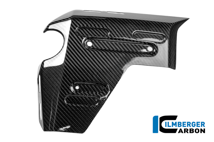 CACHE RADIATEUR GAUCHE CARBONE BMW R1300GSA