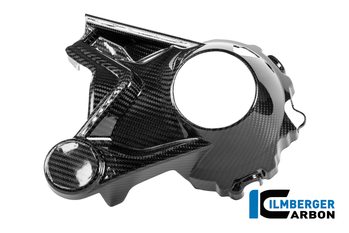 CACHE CARTER DE CARDAN CARBONE BMW R1300GS-R1300GSA