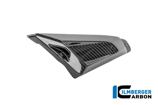 CACHE TRIANGLE ARRIÈRE DE BOUCLE GAUCHE CARBONE BMW R1300GSA