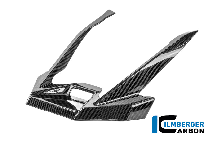EXTENSION DE BEC AVANT CARBONE BMW R1300GSA
