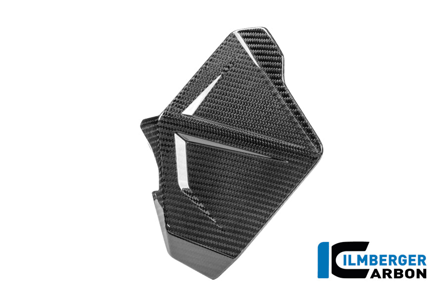 DÉFLECTEUR GAUCHE CARBONE BMW R1300GSA