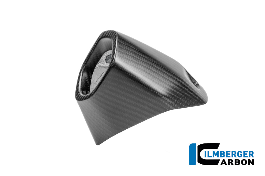 PROTECTION THERMIQUE D'ÉCHAPPEMENT ARRIÈRE CARBONE BMW R1300GS-R1300GSA