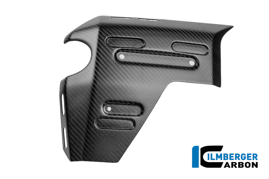 CACHE RADIATEUR GAUCHE CARBONE BMW R1300GSA