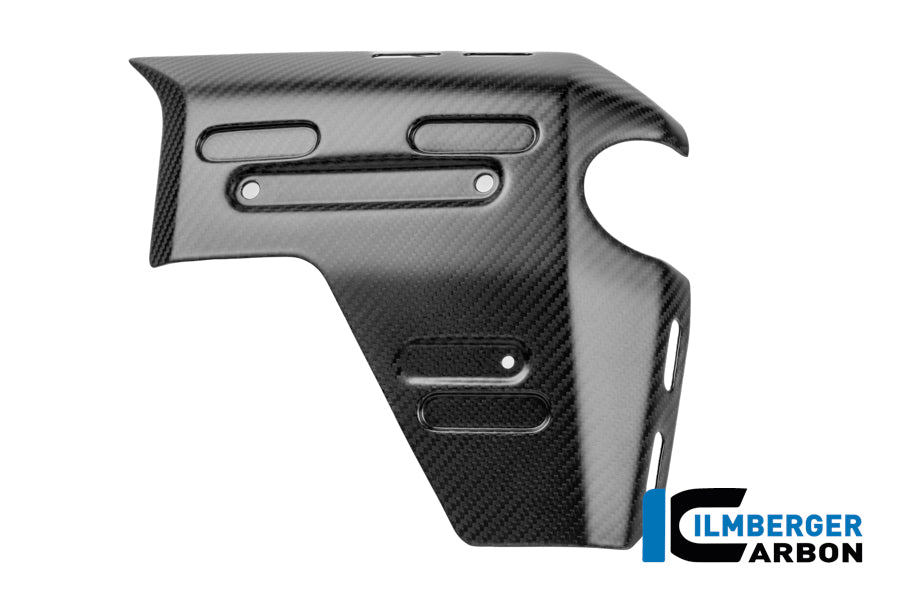 CACHE RADIATEUR DROIT CARBONE BMW R1300GSA