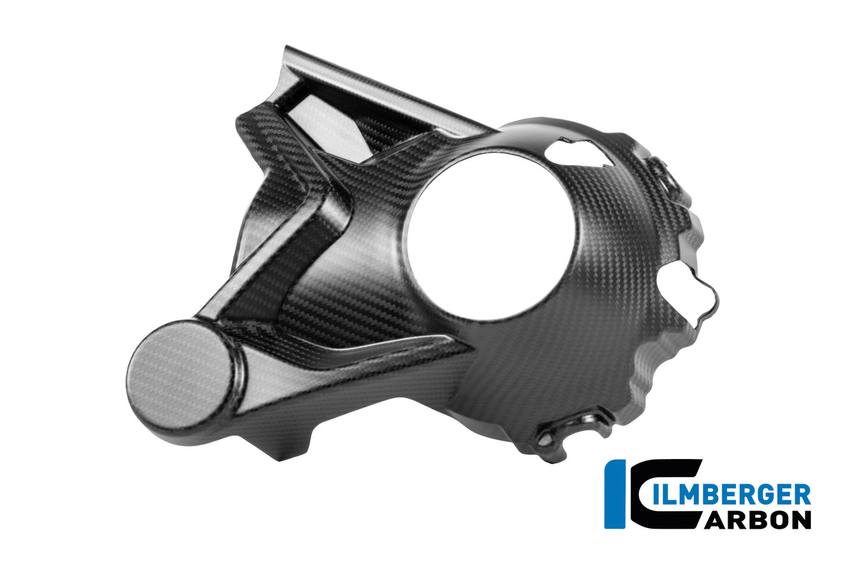 CACHE CARTER DE CARDAN CARBONE BMW R1300GS-R1300GSA