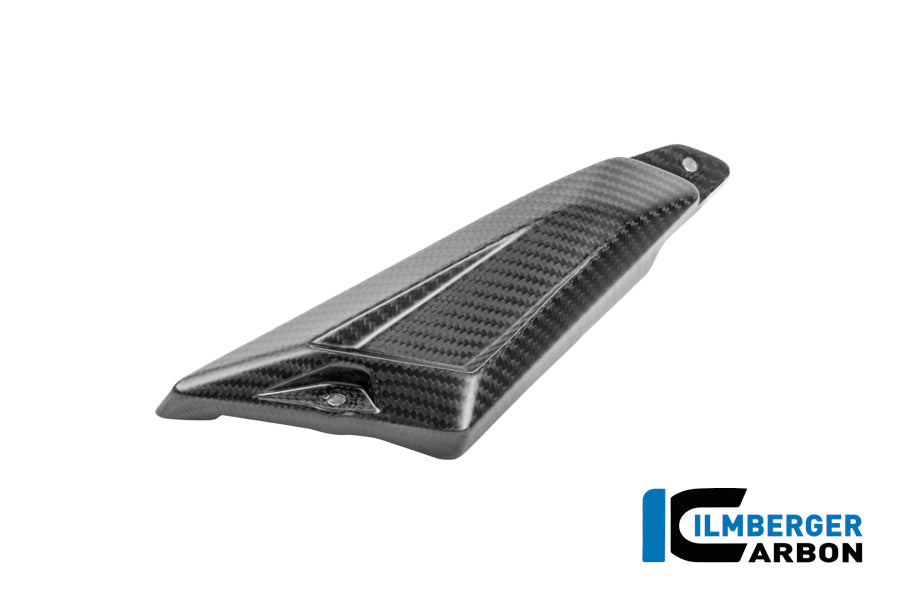 CACHE TRIANGLE ARRIÈRE DE BOUCLE GAUCHE CARBONE BMW R1300GSA