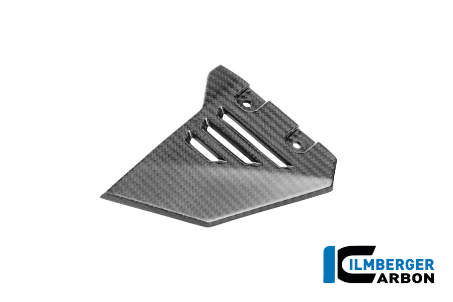 CACHE TRIANGLE AVANT DE BOUCLE GAUCHE CARBONE BMW R1300GSA