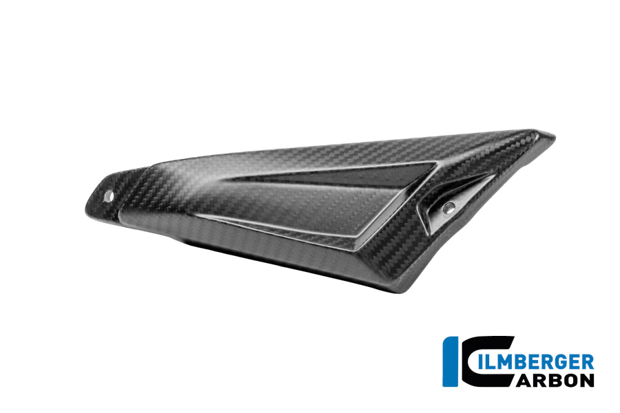 CACHE TRIANGLE ARRIÈRE DE BOUCLE DROIT CARBONE BMW R1300GSA