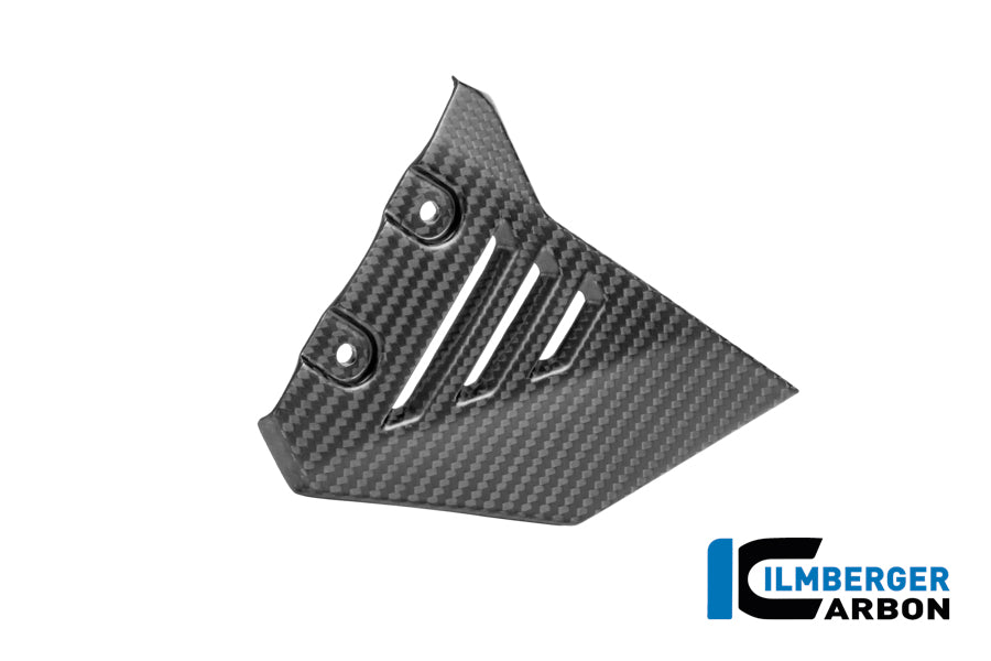 CACHE TRIANGLE AVANT DE BOUCLE DROIT CARBONE BMW R1300GSA
