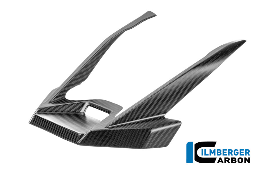 EXTENSION DE BEC AVANT CARBONE BMW R1300GSA