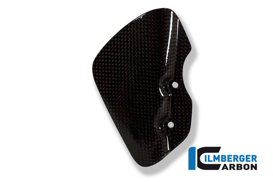 PROTÈGE-TALON CARBONE BMW R1200GS (2004-2012)