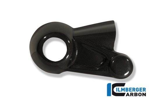 CACHE CARTER DE CARDAN CARBONE BMW R1200GS (2004-2012)